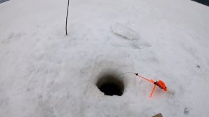 Рыбалка в глухозимье на Сурском водохранилище.Ловля окуня на стоячку.Окунь разогнал всего леща.