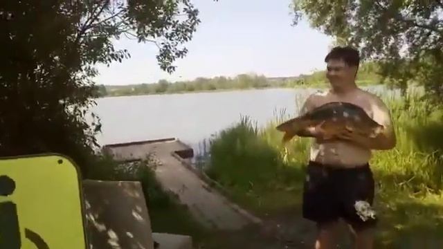 Ловля карпа,трофейный карп РК «Фишка» Петряиха смотреть онлайн