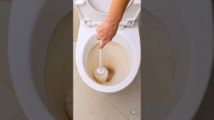 НЕОБЫЧНЫЕ И ГЕНИАЛЬНЫЕ ЛАЙФХАКИ ДЛЯ ТУАЛЕТА