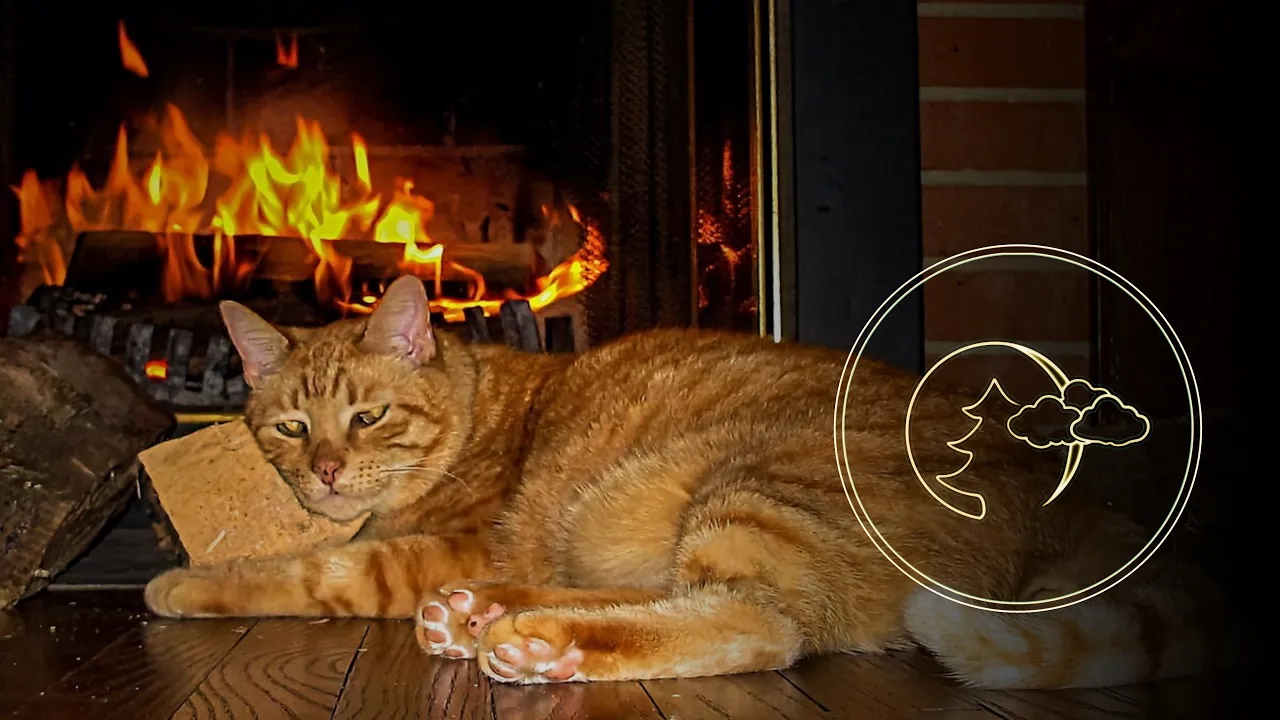 Рождественский Релакс, Мурлыканье КОШКИ у камина для сна, Relax for sleep A purring cat fireplace