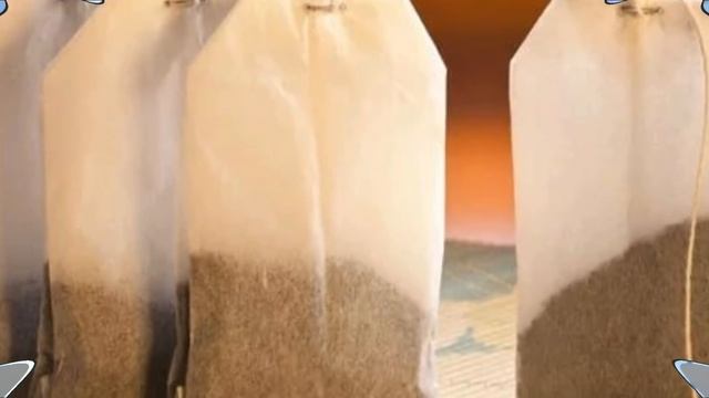 Секреты ухода за ампельными комнатными растениями