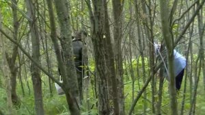 По грибы фильм 1(1)
