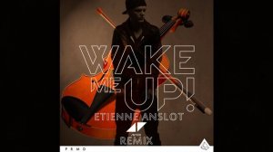 Wake Me Up! Violin Remix (Avicii & Vitamin String Quaret)