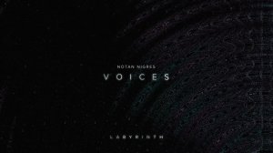 Notan Nigres - Voices | Labyrinth EP (Audio).mp4