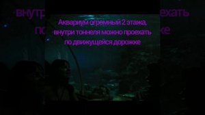 ВЬЕТНАМ достопримечательности Водопады, Острова, Винперл, ХонТам, Северные о-ва, города Далат,Нячан