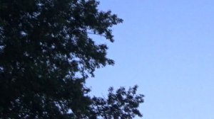 Братья Радченко. Туман - туианище.