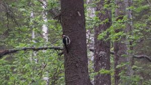 ДОСТОПРИМЕЧАТЕЛЬНОСТИ УРАЛА.
