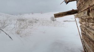 Впервые за 5 лет на своём участке в деревне зимой