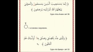 ЧТЕНИЕ КОРАНА ЗА 14 ДНЕЙ. Урок 12 (Остановка при чтении "Вакф", знаки остановки)