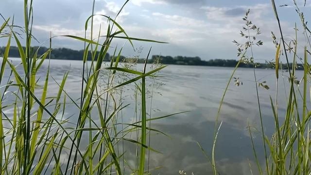 БЛАЖЕННЫЙ. Страшный рассказ. Ужасы