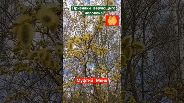 #shorst Признаки верующего человека смотреть онлайн