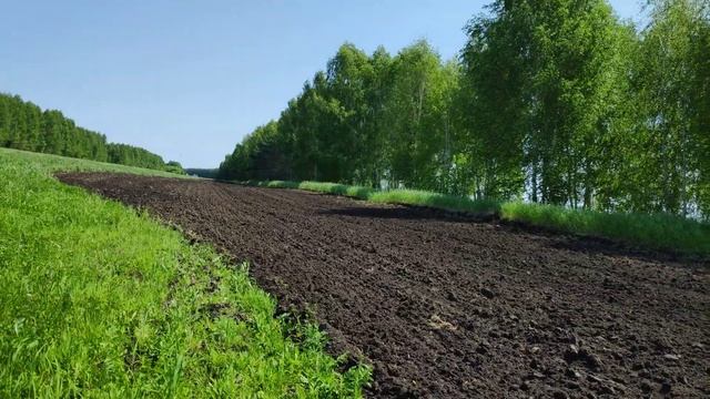 Самый Чёрный Чернозем! Спасский Район Татарстана! Не хуже чем в Украине!