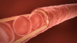 Алоэ Вера - целебная сила растения