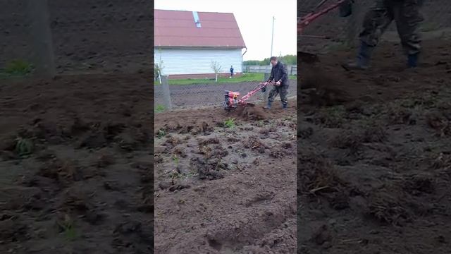 Культивация мотоблокам ASILAK SL 186L снимал подпищик смотреть онлайн