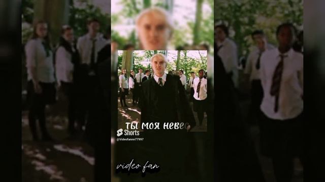 #shortsvideo #harrypotter #рекомендации #dracomalfoy #hp #подпишись #врек #dracotok