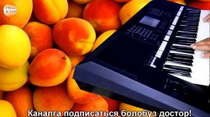 кызыл орук мирлан баеков. Ямахада ойнолгон