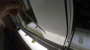 ✅Гидропонная установка на балконе своими руками??. Часть 1. Растим на воде!