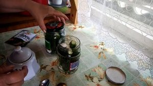 Огурцы на зиму с лимонной кислотой. Маринованные огурцы сухим способом.