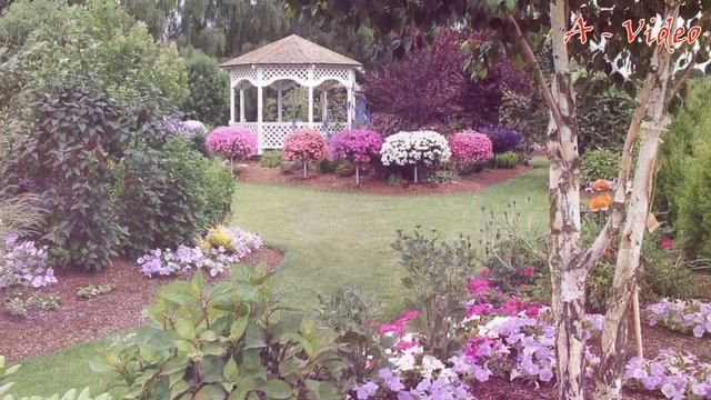 ?Лучшие примеры красивых садовых участков / Garden Ideas / A - Video