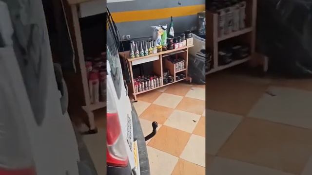 l'Huile moteur idéal Renault Kangoo 1.5 Dci الزيت المناسب لمحرك سيارة رونو смотреть онлайн