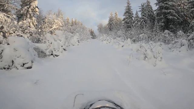 Тайга Патруль 800 SWT смотреть онлайн