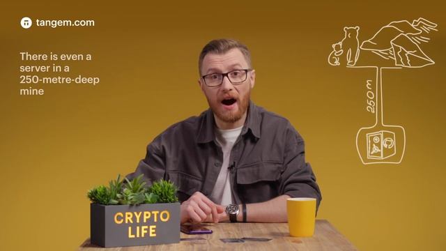 What Happens If Your App Disappears From the Stores and the Company Closes Down / Tangem Wallet смотреть онлайн