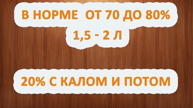 Определение суточного диуреза смотреть онлайн