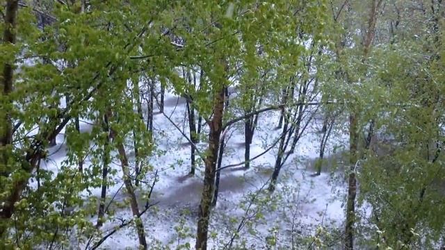 Зимой (ролик на Спицу) - Лампа Накаливания смотреть онлайн