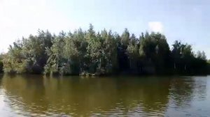 Рыбалка на Святом озере на кружки . Первый карп на кружки .