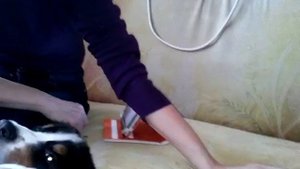 2015-03-03 15-32-12_1.3GP