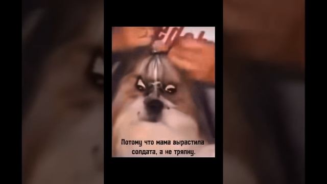 Воспоминания ?