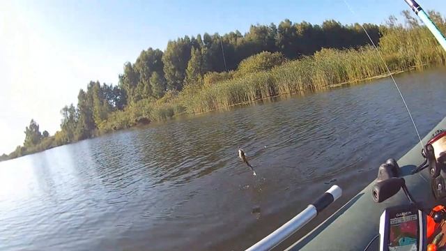 Щука на Джиг. Какая ПРИМАНКА ловит щуку? Рыбалка на щуку с лодки #щука #рыбалка #джиг