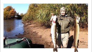 Жор Щуки в Октябре. Где ловить щуку в октябре?