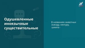 Морфология и морфологические нормы