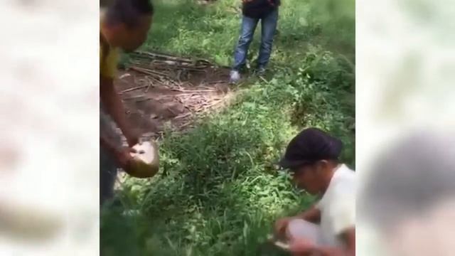 Что внутри кокоса и как изготовить ложку? смотреть онлайн