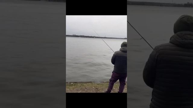 Как поймать Судака весной? #рыбалка #fishing #ловля #ловлясудака #весенняярыбалка #судак