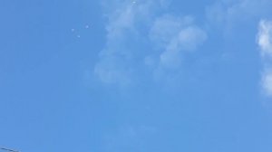 Как я тренерую голубей / лёт/ бой/ столб / как разогнать голубей