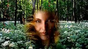 ПЕРВОЕ АПРЕЛЯ - Влад НЕЖНЫЙ