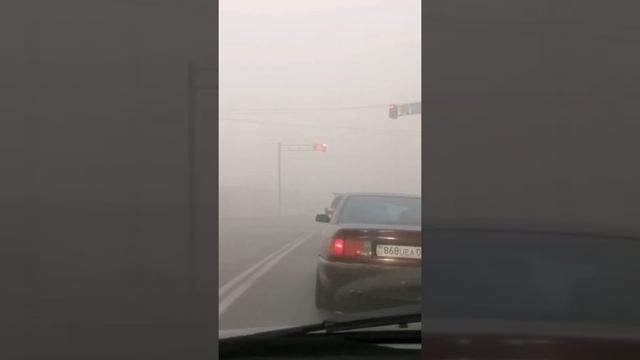 Тараз шаңды боран 17.11.21ж смотреть онлайн