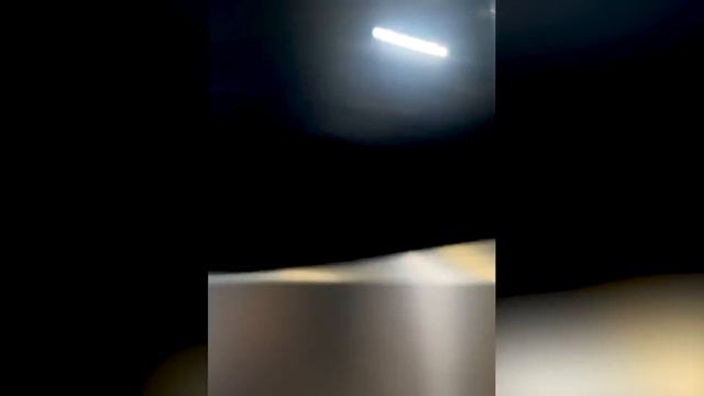 Самые смешные животные 2023 😹- ПРИКОЛЫ С ЖИВОТНЫМИ- Приколы с котами и собаками😅👌 #1 смотреть онлайн