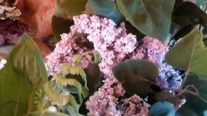 Я Дарю Тебе Букетик! Красивые Цветы