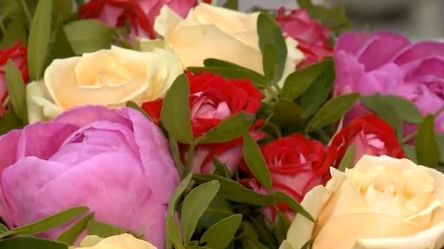 (12 +) День флориста смотреть онлайн