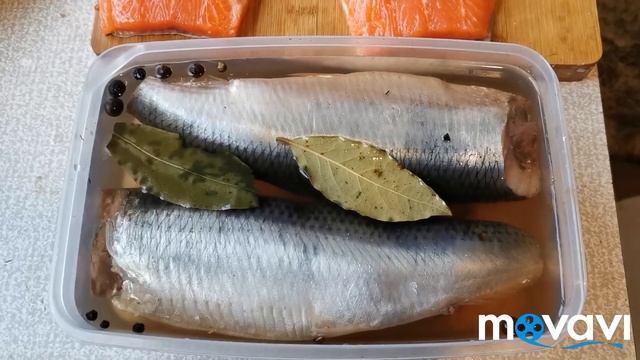 #разделка#засолка#рыбы# Рецепт нежнейшей засолки форели/Пряный засол селёдки/Как пожарить карпы.