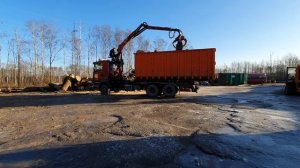 Какие деревья можно вырубать без разрешения в Эстонии.Утилизация дерева Таллинн.