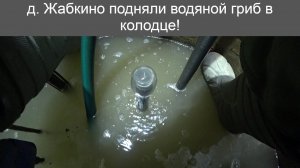 д  Жабкино, соседи наших заказчиков попросили безлимитную воду с плывуна!
