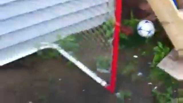 Bailey Cocoa Bear Walter смотреть онлайн