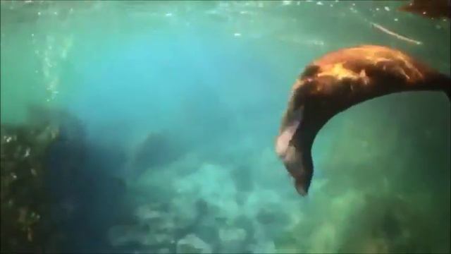 SASH! - Otavalo (Video Edit) (From The Album "Life Changes") смотреть онлайн