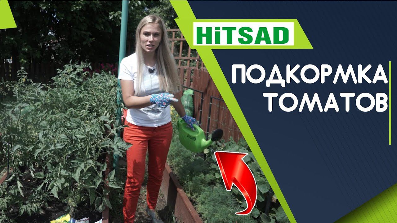 ЗАЧЕМ Томатам Азот Фосфор и Калий  ПРАВИЛЬНАЯ ПОДКОРМКА ТОМАТОВ