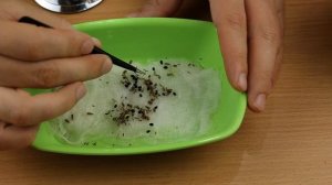 КАК ВЫРАСТИТЬ ЦВЕТЫ В ОРБИЗ ШАРИКАХ ??? OdinochkaTV