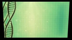 Одноклеточные организмы (1 часть)